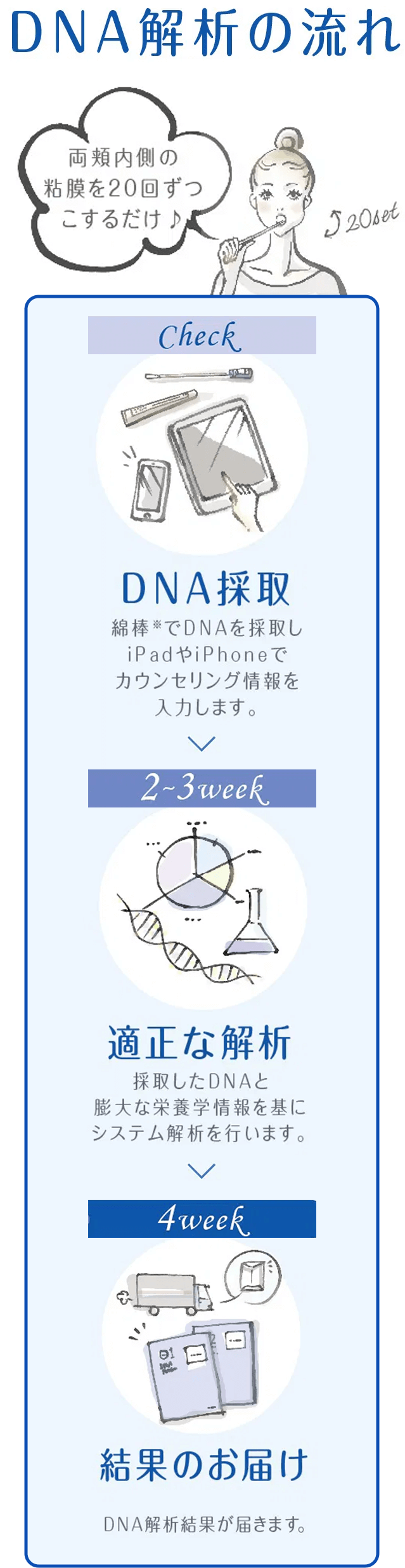 DNA解析の流れ